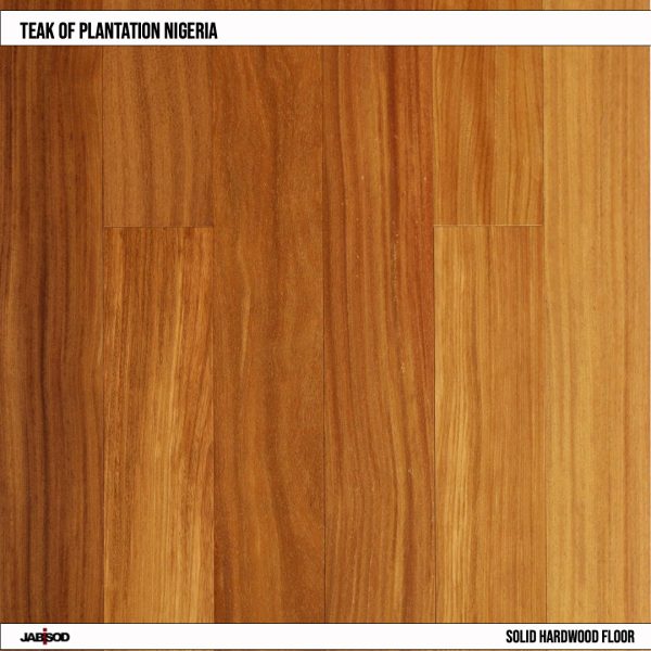 Teak floor ,glue down installation , tongue and groove